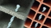 10x260mm BRICKDRILL SDS plus bezudarowe