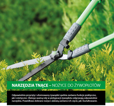 Nożyce teleskopowe do żywopłotu 810mm - blister - 1 szt.
